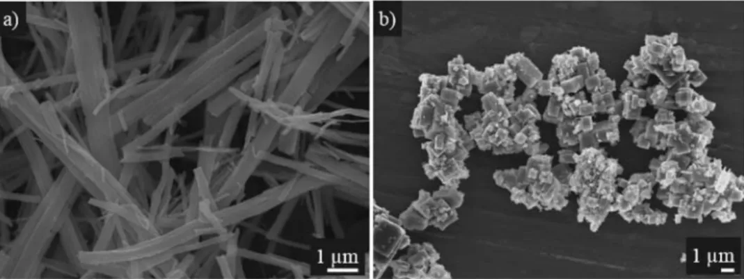 Figure 1. SEM images of NN NW ’ s (a) and NN P ’ s (b).