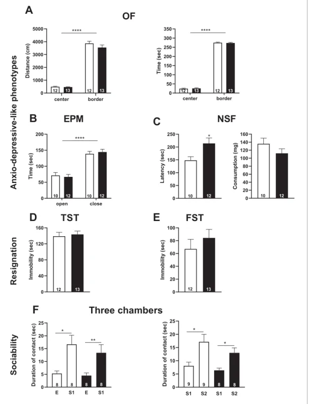 Figure 4. Snord115-deficient mice do not display abnormal anxio-depressive-like phenotypes and show normal response to sociability stimuli