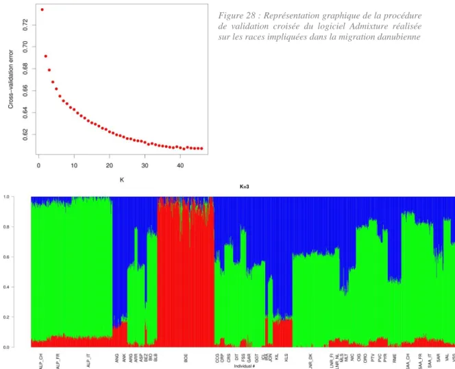 Figure 29 : Représentation graphique pour K=3 de la structuration des populations obtenue avec le logiciel ADMIXTURE  sur les races impliquées dans la migration danubienne  