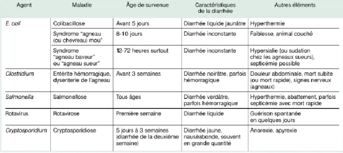 Tableau 7 : Eléments du diagnostic clinique et différentiel des diarrhées néonatales des petits ruminants (M ILLEMANN  et al., 2003) 