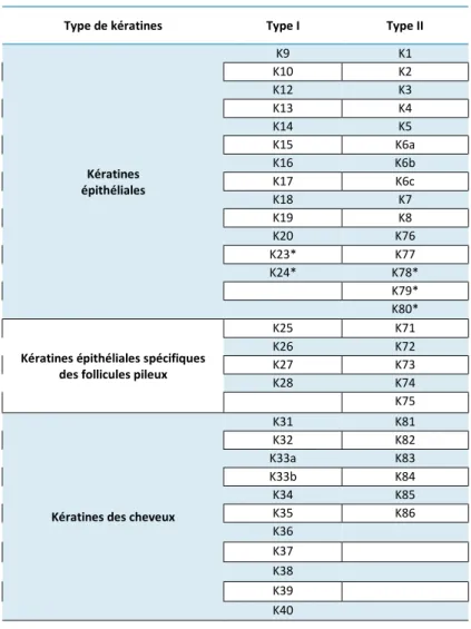 Tableau 1. La nomenclature des kératines humaines   D’après Schweizer et al., 2006 