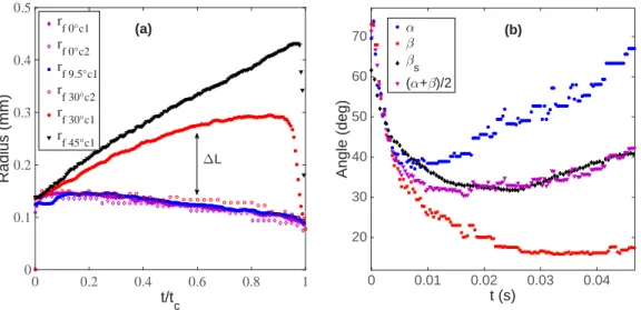 FIG. 7. (a) Evolution of the foot radius r f for different inclinations of the surface and (b) evolution of the contact angles for a surface tilted of 30 ◦ .