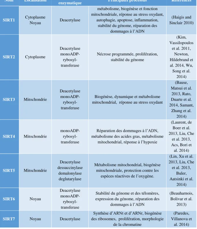 Tableau  2:  Localisations,  activités  enzymatiques  et  principales  fonctions  des  différentes  sirtuines 