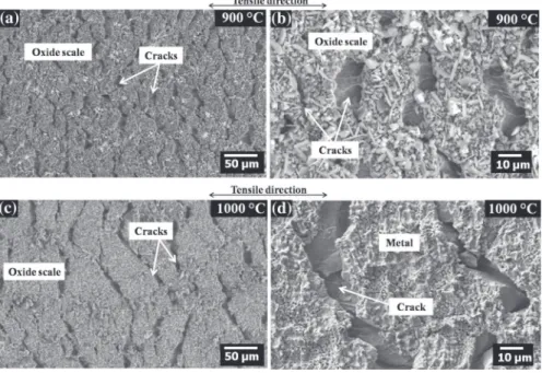 Fig. 1 Optical micrographs of the oxidation-affected zones, beneath the oxide scale, grown on AISI 304L oxidized for 50 h in synthetic air at a 900 ° C and b 1000 ° C