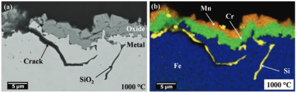 Fig. 4 a SEM cross-section in BSE mode and b EDS map, after tensile testing performed on AISI 304L oxidized for 50 h in synthetic air at 1000 ° C (43% strain)