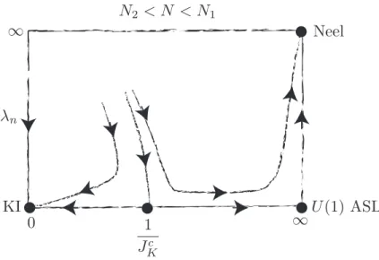 Figure 1-7: The schematic RG ﬂow for a direct Kondo insulator to Neel transition.
