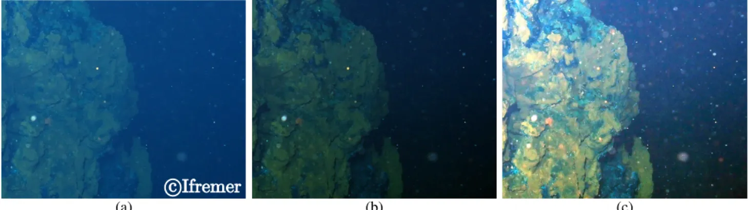 Fig. 6. Examples of color restoration on real data. (a) Underwater image (801×651 pixel extract) provided by Ifremer