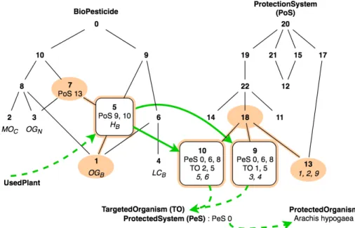 Fig. 4. Simplified version of an excerpt from the AOC-posets built from BioPesticide and ProtectionSystem contexts with M1 to answer Q1 in the case study: navigated concepts and their links are highlighted