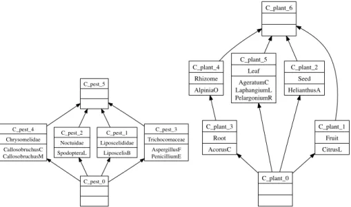 Fig. 1. Lattices L Pests (left) and L Plants (right)