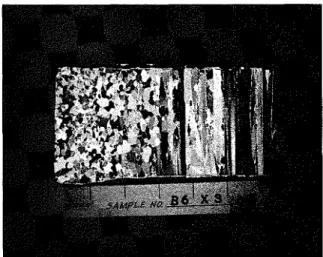 Fig.  7b.  Thin  Section  of  Block  6  Cut 'Perpendicular  to  the  Area  of  Application  of  the  Load  and  the  Face  of  the  Block