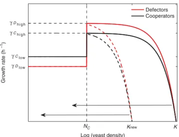 Figure 3 A phenomenological model describes the growth dynamics of cooperator and cheater yeast during each cycle of batch culture