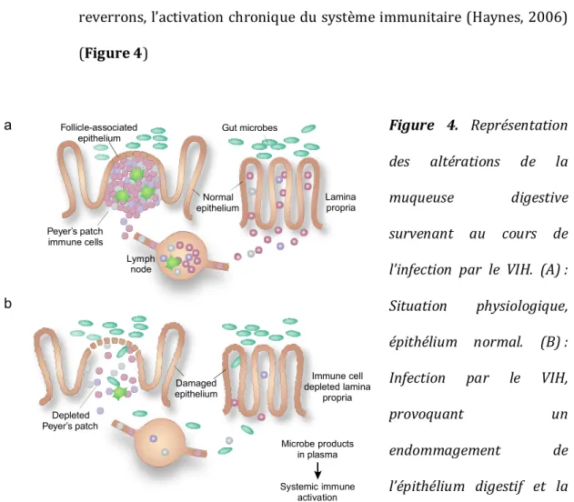 Figure  4.  Représentation 