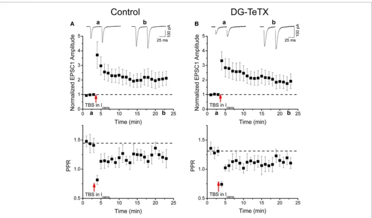 FIGURE 5 | Normal LTP of perforant path inputs to old GCs in activated DG-TeTX mice. (A,B) The upper panels are pooled data time course plots showing LTP of perforant path-evoked AMPA