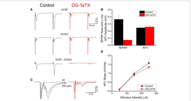 FIGURE 1 | Impaired MF-CA3 transmission but normal MF excitability in activated DG-TeTX mice