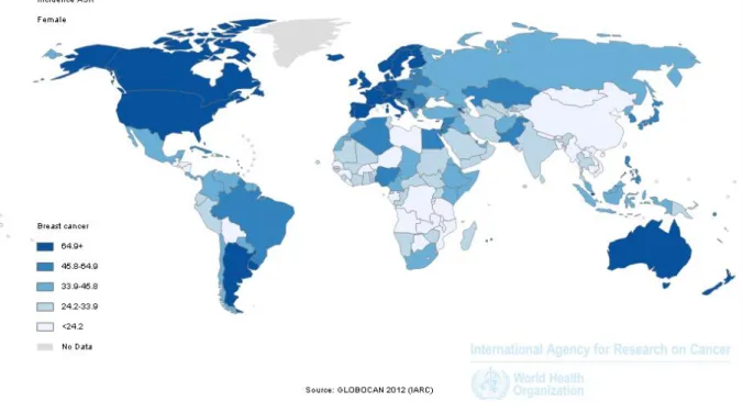 Figure 5: Taux d'incidence standardisés sur la population mondiale des cancers du sein de la femme en 2012   (pour 100 000) 