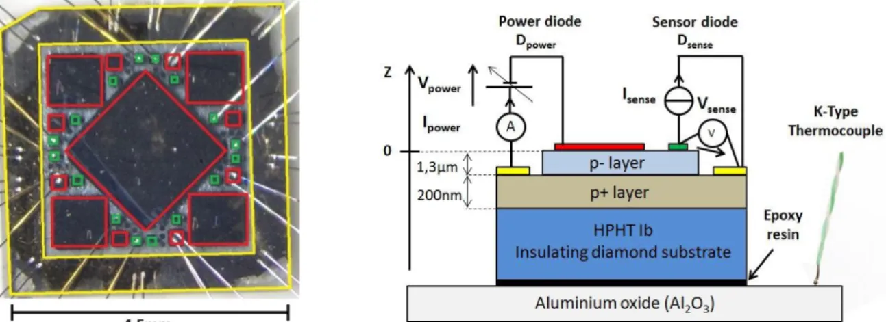 Figure 2 : Picture and schematic cross-section of the diamond diode sample with the Power diodes in  red, the sensor diodes in green and the common ohmic contact in yellow 