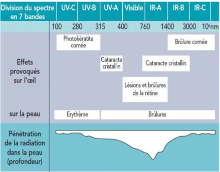 Figure 13 : effets biologiques provoqués par le rayonnement laser en fonction de la longueur d’onde :  diagramme proposé par la C.I.E (commission internationale de l’éclairage) (19) 