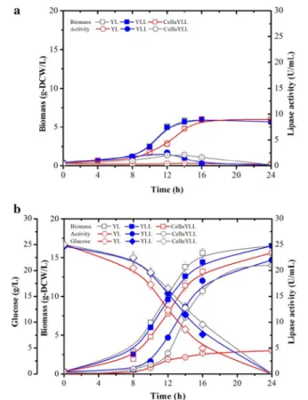 Fig. 6  Comparison of the growth, cellulose consumption and lipase  production of recombinant Y