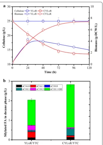 Fig. 7  Comparison of growth and glucose consumption of  recombinant Y. lipolytica strains YLxW (prototrophic OleoX strain),  YLxR (OleoX strain overexpressing CpFAH12) and CYLxR (cellulolytic  OleoX strain overexpressing CpFAH12) during aerobic batch cult
