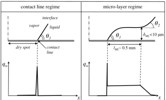 Fig. 1. Scheme of the different nucleate boiling regimes, contact line (left) and micro-layer (right), in terms of interface shape at the bubble foot (up) and wall heat flux profile (down).