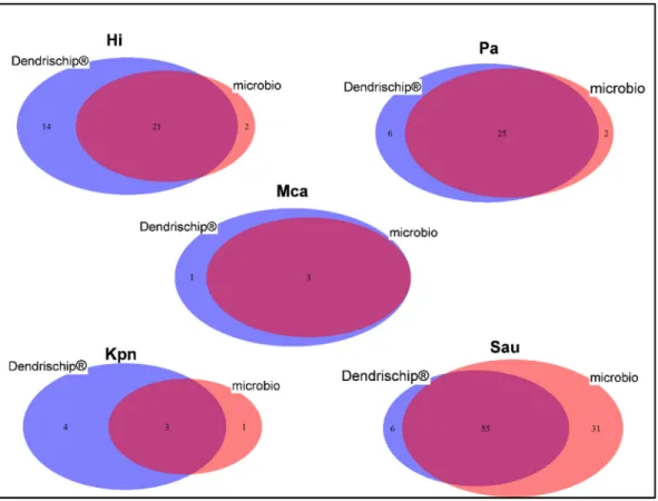 Figure 5. Venn diagram representation for the comparison of positive identification results for five  pathogens  between  the  DendrisChips ®   technology  and  the  conventional  microbiology  culture  (microbio)