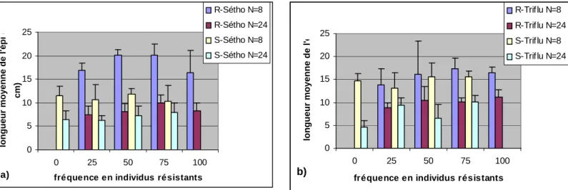 Figure 5 : Longueur moyenne de l’épi des populations non traitées résistantes et sensibles a) au séthoxydime b)  à la trifluraline en fonction de la densité et de la fréquence initiale en individus résistants