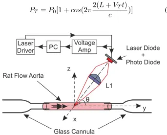 Fig. 1. OFI Sensor setup for internal rat aorta diameter assesment