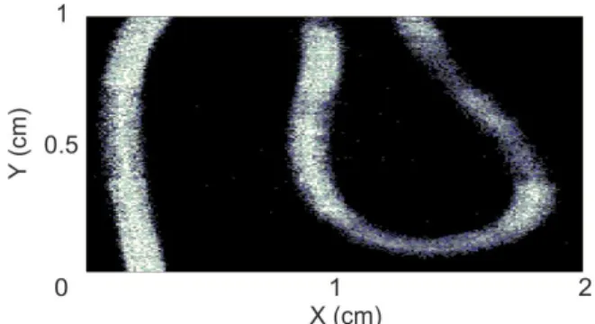 Figure 4 shows an example of a 2D velocity mapping on a plastic tube (500 µm internal diameter), with a 10 µm scanning step on an area of 2 cm 2 .