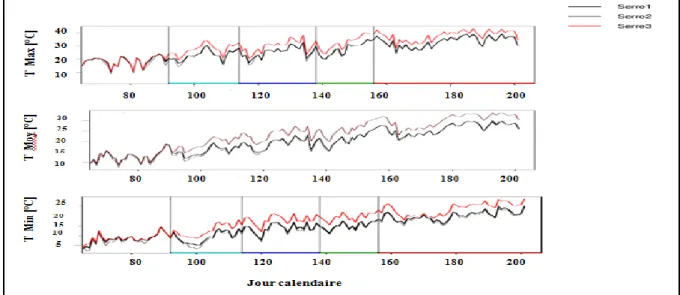 Figure 4 : Evolution de la température moyenne, maximale et minimale pour les 3 serres et  l’extérieur au cours du temps  