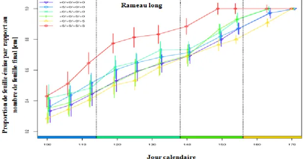 Figure 11: Evolution de la proportion de la longueur finale des pousses terminales par traitement  pour les rameaux longs