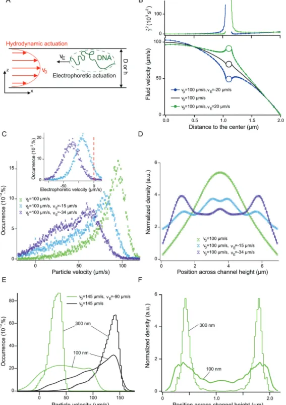 Fig. 1 Transverse migration of nanoparticles in viscoelastic fluids. (A) Representation of the experiment, in which DNA transport is simultaneously actuated with hydrodynamics and electrophoresis