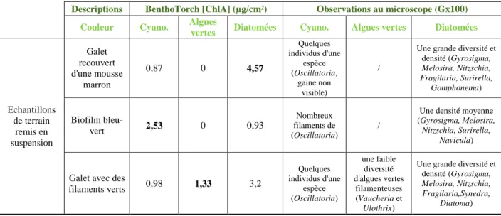 Tableau 3: Informations sur les individus utilisés pour les tests de la BenthoTorch 