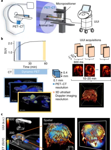 Figure 1 shows the processing steps and experimental set-up devel- devel-oped for PET–CT–UUI