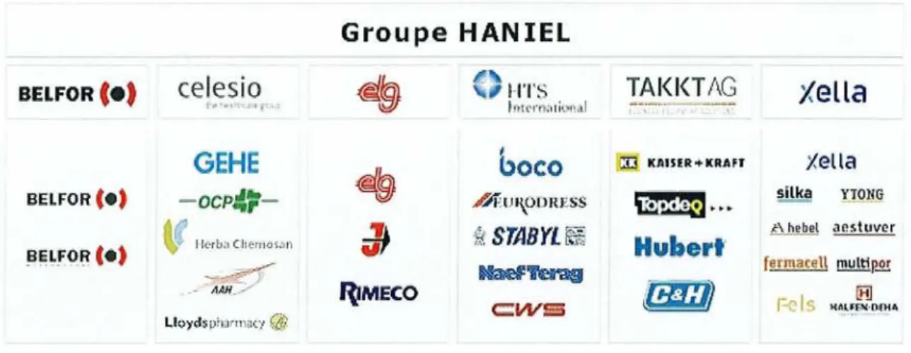 Fig. 10 : Organigramme du groupe Haniel en 2005