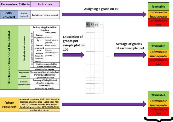 FIGURE 11 : STATEMENT TO GRADE PER PARAMETER AT STATION SCALE 