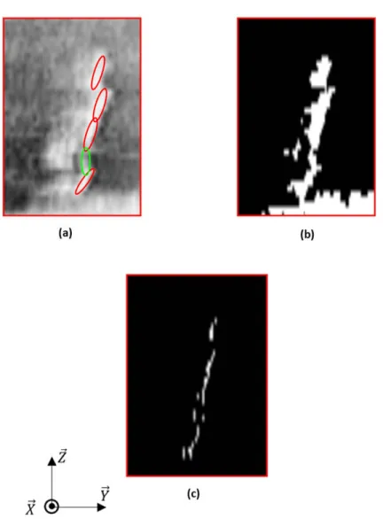 Figure 5: Sagittal sections of 3D clinical images containing stranded seeds. (a) manual segmentation based on planning information (seeds in red and spacer in green) added to the original image, (b) image after binarization with Bayesian classifier, (c) im