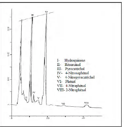 Figure 13: Chromatogramme d‟une solution de Phénol (5.10 -4  M)   et d‟ions nitrates (2.10 -2  M) irradiée à 310 nm pendant 12 heures