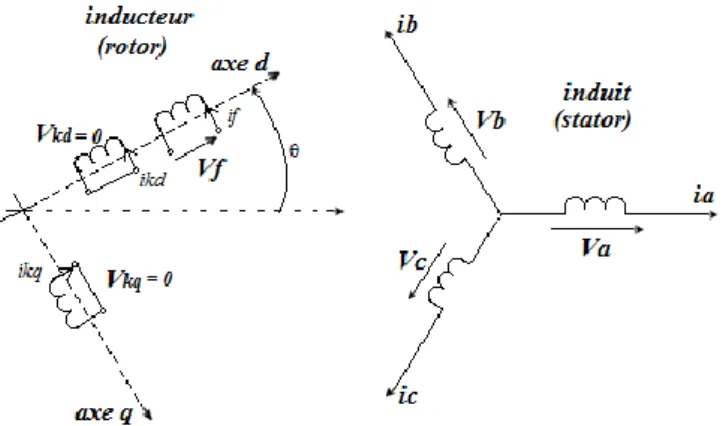 Fig. II.3. Schéma descriptif des différents enroulements de la MSPS. 
