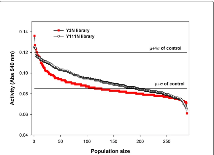 Figure 4 shows the results of the screening of the two site-saturation libraries. Overall, the Y111N (N represents any amino acid) library provides a larger population of improved clones, though both libraries contain a small minority of clones that displa