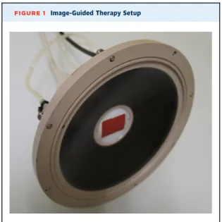 FIGURE 1 Image-Guided Therapy Setup