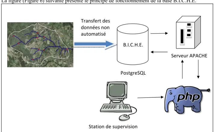 Figure 6 : L'architecture de la base B.I.C.H.E. 