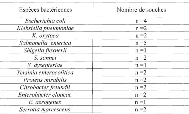Tableau n03 : Entérobactéries testées dans notre étude.