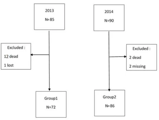 Figure 1: Flow chart of the population 