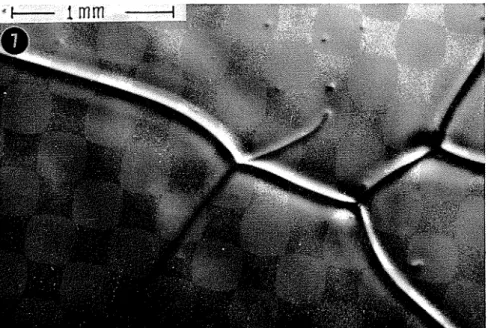 FIG.  7.  l%s:~mplc  of  threadlikc  feature obscrvetl  at some grain b o ~ u ~ t l a r y   triple  points