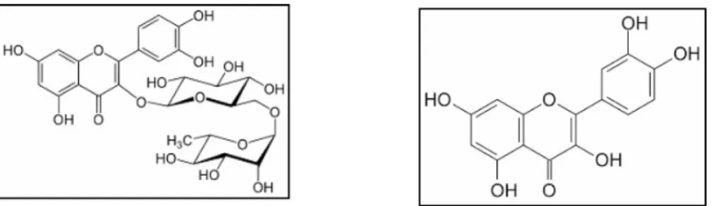 Figure 4: Structure chimique de deux flavonols : a) Structure chimique de la rutine ; b) Structure  chimique de la quercetine (Vikas, 2011).