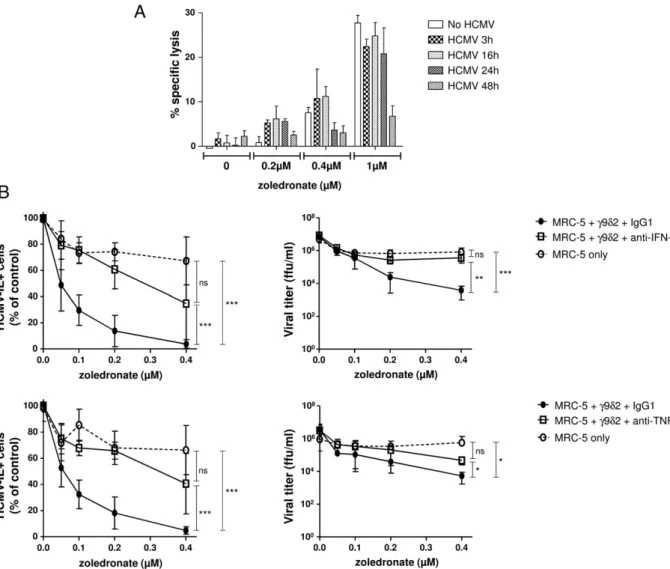 FIGURE 7. Role of cytokines and cytotoxicity in the antiviral effect of Vg9Vd2 cells. ( A ) The cytolytic activity of Vg9Vd2 cell lines was measured by 51 Cr chromium release assays on MRC-5 cells that had been infected (MOI of 1) during 3–48h or not, and 