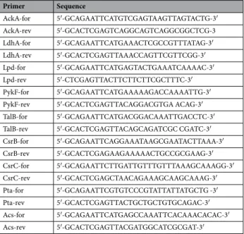 Table 1.  List of primers for pSE-based cloning.