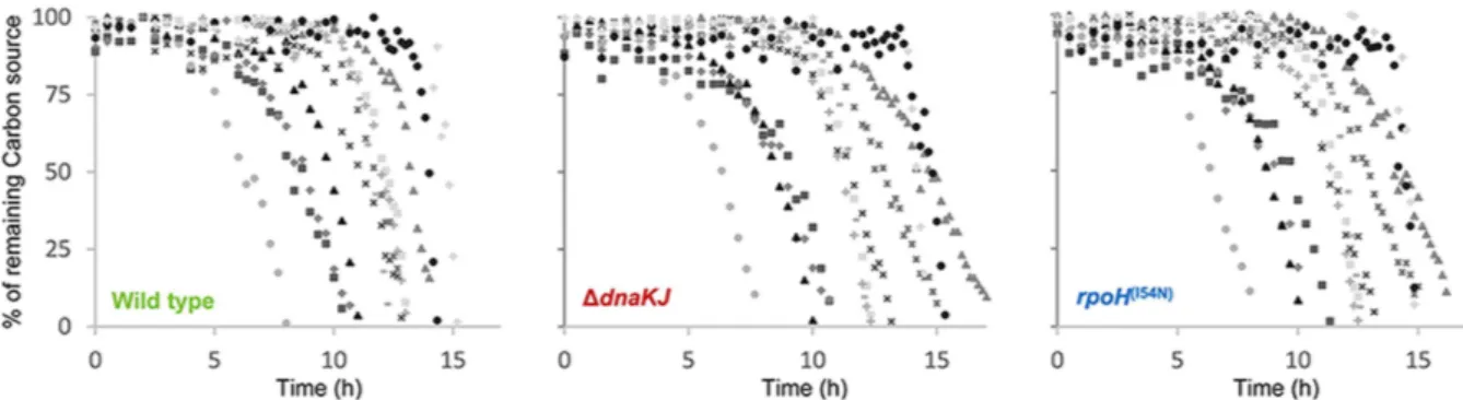 Figure 4.  DnaK-dependent adaptive growth in complex mixture of carbon sources known to be present in  intestinal environment
