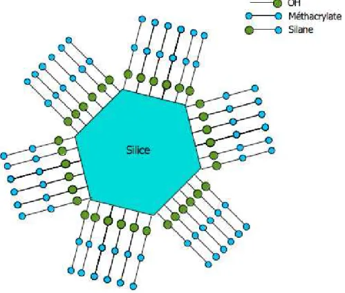 Figure 6 : représentation schématique du silane permettant le lien entre la résine  méthacrylate et la surface hydroxylée des charges de silice