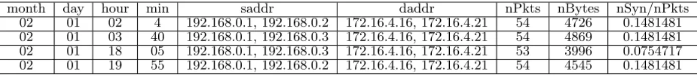 Table 2: First example of an illegitimate traffic class (IP addresses have been anonymised)